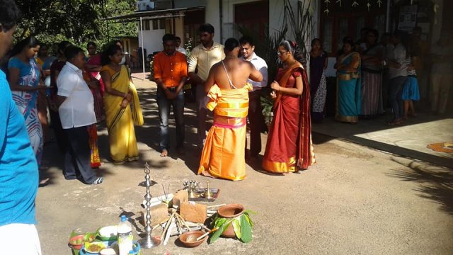 Thaipongal Festival 2019